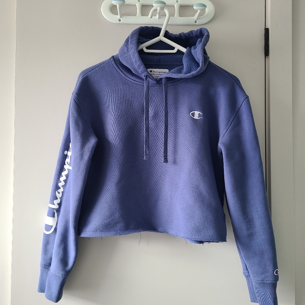 Champion cropped hoodie